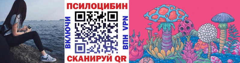 Галлюциногенные грибы Psilocybine cubensis  Купить закладки  Сельцо 